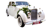 Bentley 1954