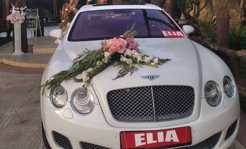 Elia rent a car Lebanon