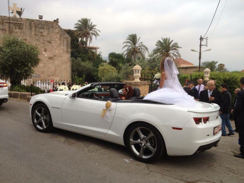 Elia wedding cars in Lebanon Photos