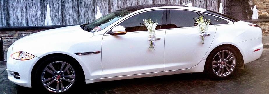 Elia: Luxury car rental service
